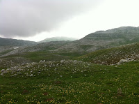 IMG_1331.JPG