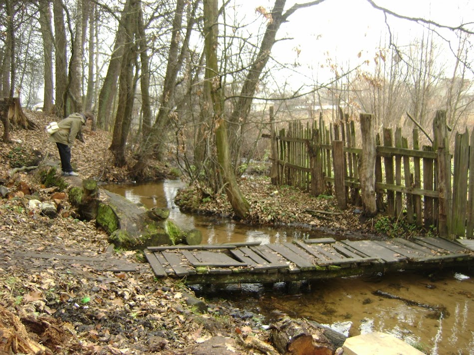 07_Пуща_Вика-27-11-2010.jpg
