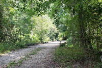 Path to River / River Trail Photo Path to River / River Trail Photo