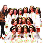 Leinster Championships 2011