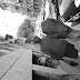 R0028202.JPG
