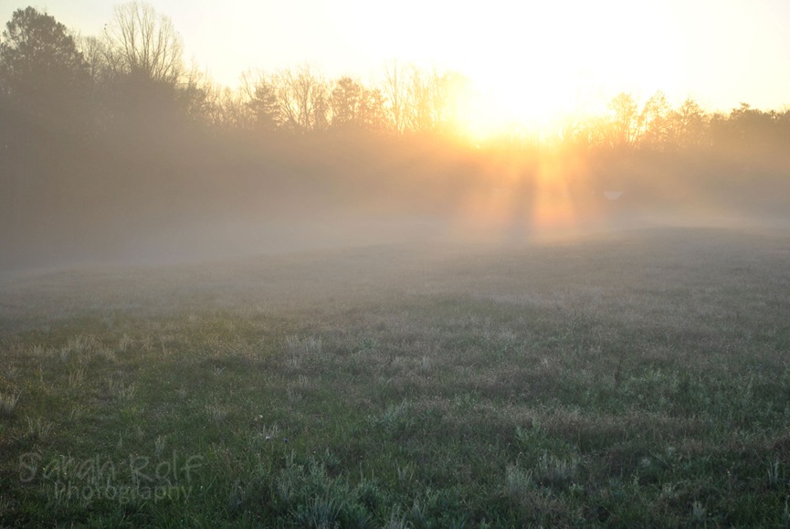 [sunshine-rays-at-dawn%255B3%255D.jpg]