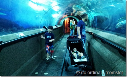 Underwater World @ Sentosa Island Singapore