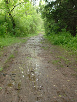 HPIM1317.JPG Photo
