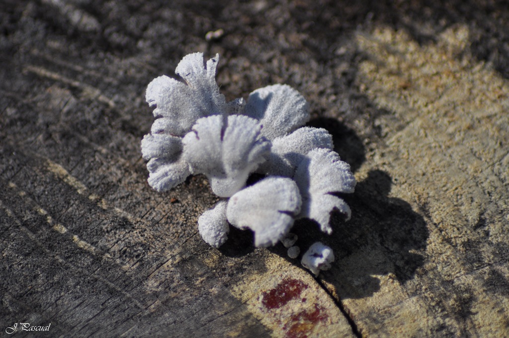[DSC_0566.jpg]