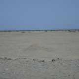 CIMG1458.JPG