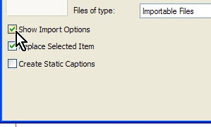 show_import_options_indesign show_import_options_indesign