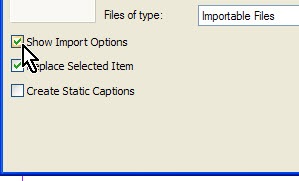 show_import_options_indesign