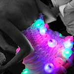 IMG_7552.jpg