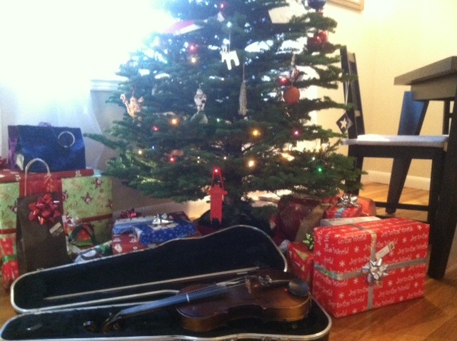 [violin%255B2%255D.jpg]