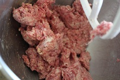 IMG_1753 IMG_1753