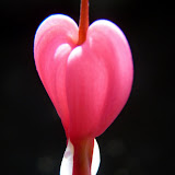 March 2010