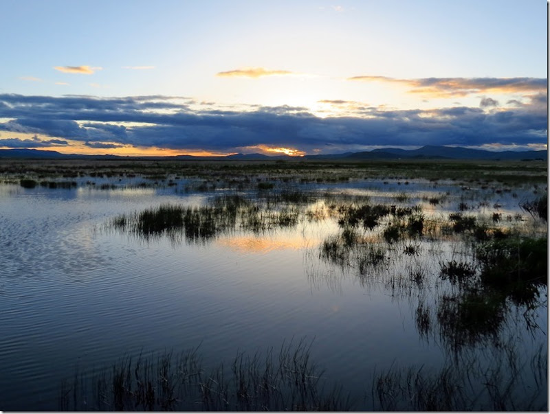 Camas Centennial Marsh 3 Camas Centennial Marsh 3