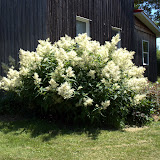 DisplayGardensJune272011 DisplayGardensJune272011