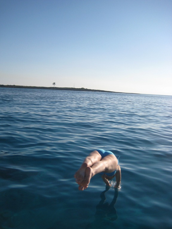 [IMG_2585%255B5%255D.jpg]