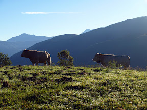 Artigaus, Val d'Azun