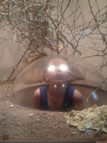 [viral-picdump-pics-45a9a8%255B2%255D.jpg]
