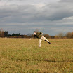 BP-2010-podzimko-1106-014.jpg