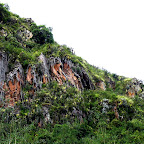 Moss, vegitation and red rock cliffs make a surreal landscape.