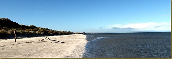Farewell Spit Beach