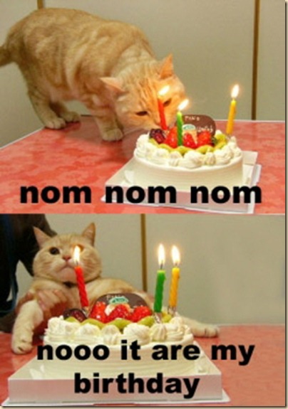 Birthday Birthday