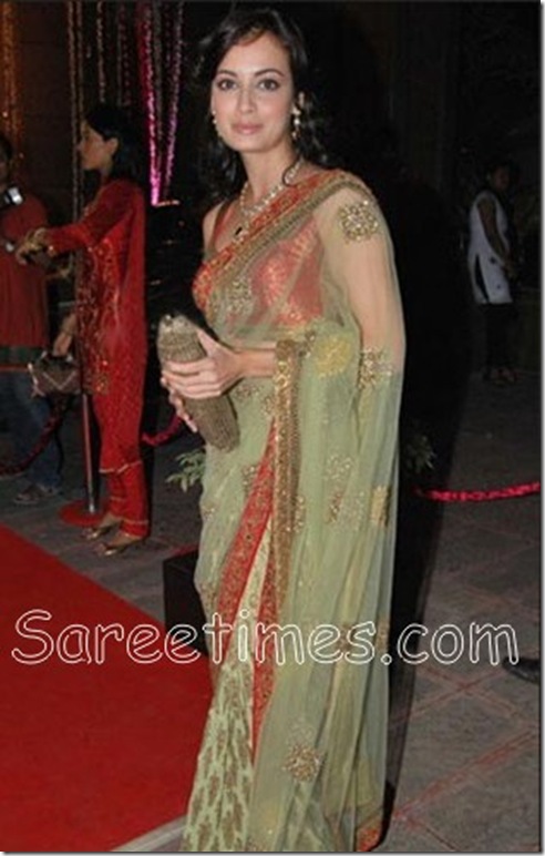 Dia_Mirza_Shimmer_Saree
