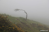 IMG_9252.JPG Photo