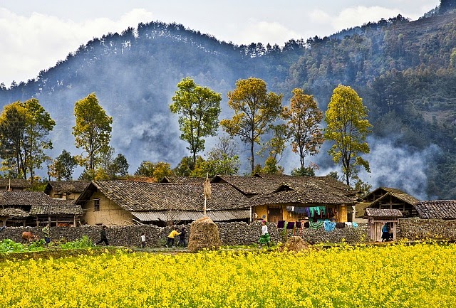 Kết quả hình ảnh cho Sủng Là