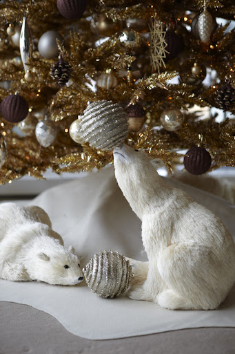 How cute are these polar bears, playing around?