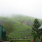 l063.jpg