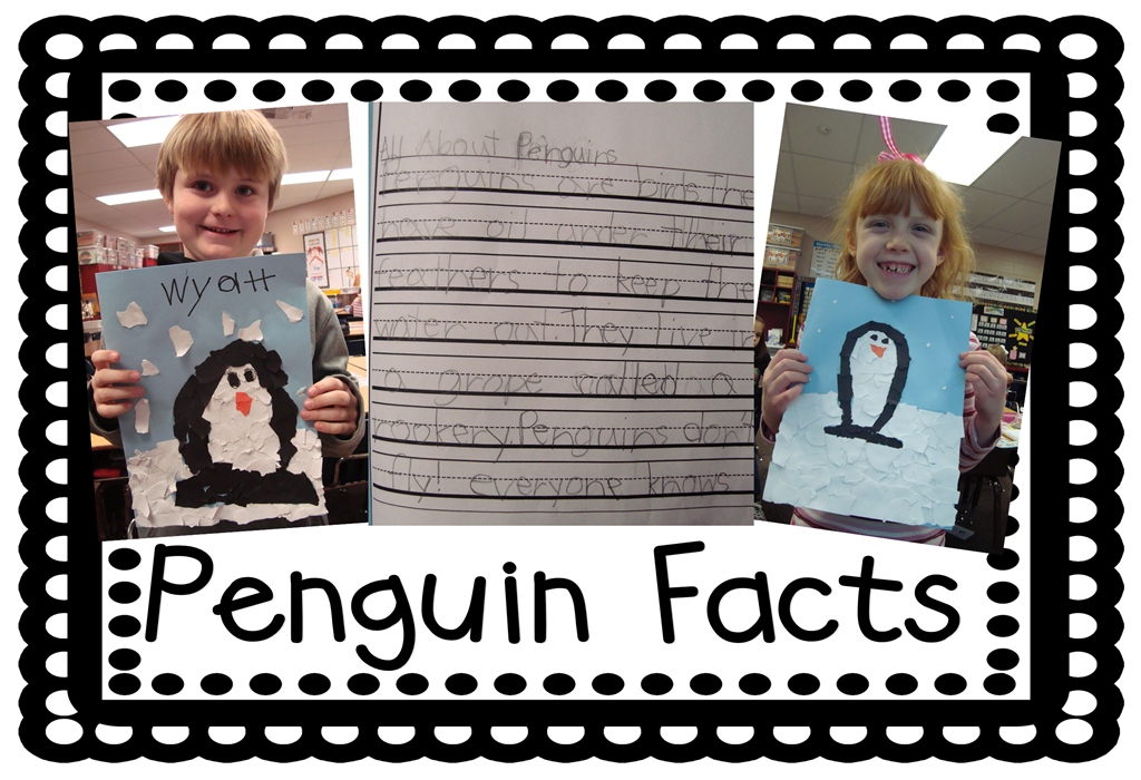 [penguin%2520facts2%255B7%255D.png]