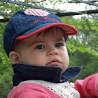 Micu Doina