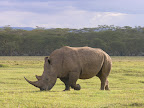 DSCN6156.JPG