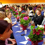 IMGP7444.jpg