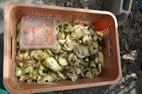 pinoyecofarm vermicomposting seminar _0048.JPG
