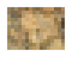 rock study 5, 2010, digital c-print (single edition), 16 x 20 in.
