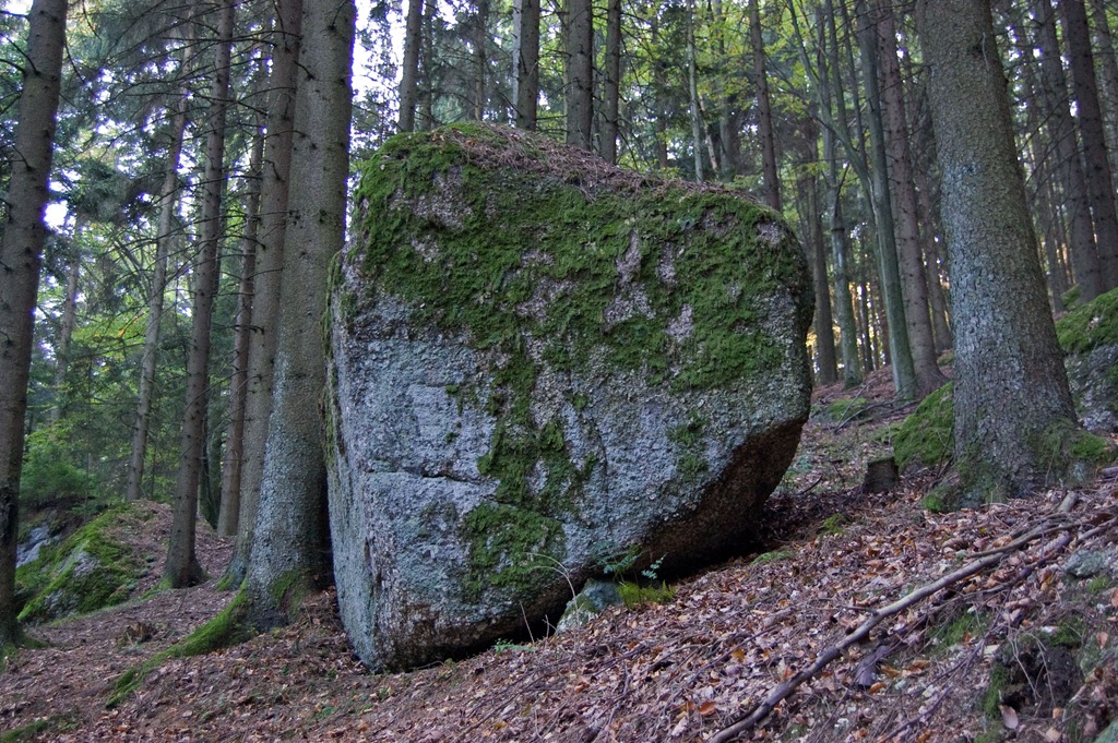 [DSC_8022%255B4%255D.jpg]