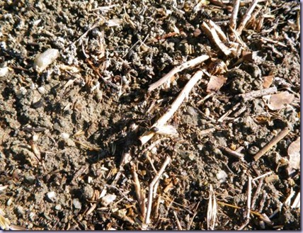 clip_image010 clip_image010