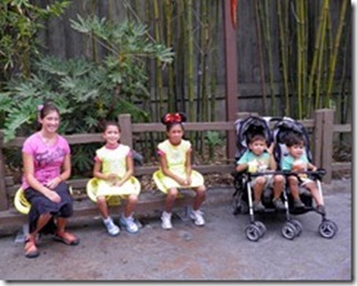 9.11.12-bugsland-flores-bugs_thumb