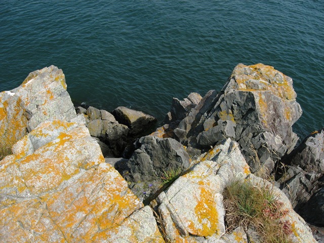 [IMG_99463.jpg]