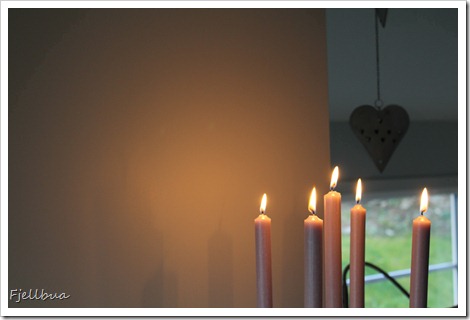 IMG_0799 IMG_0799