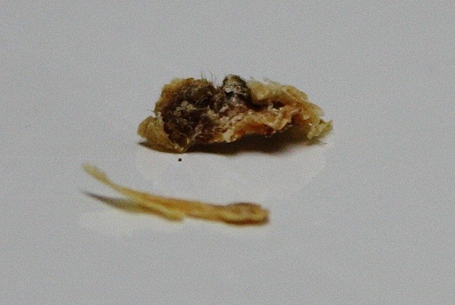[IMG_83943.jpg]
