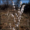 20090411 RDPIII_02-Edit.jpg
