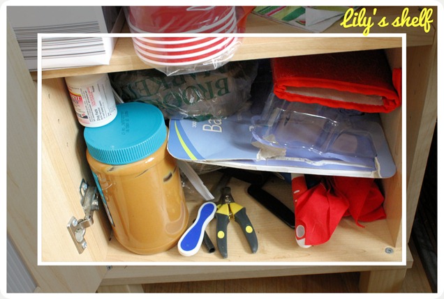 kitchen pantry clutter pet shelf kitchen pantry clutter pet shelf