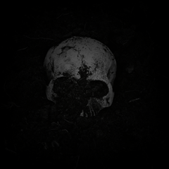 unearthed unearthed