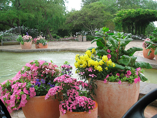 More colorful containers - I really like the use of chard in the one on the right.