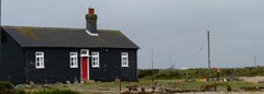 dungeness sept 2011 028