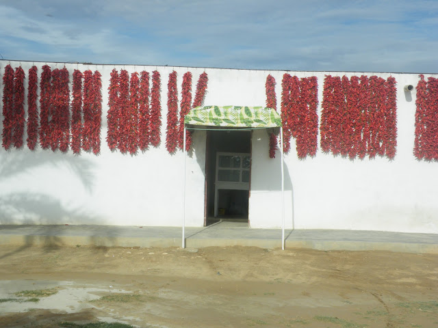Tunesien2009-0484.JPG