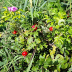 20100824_099_small.JPG