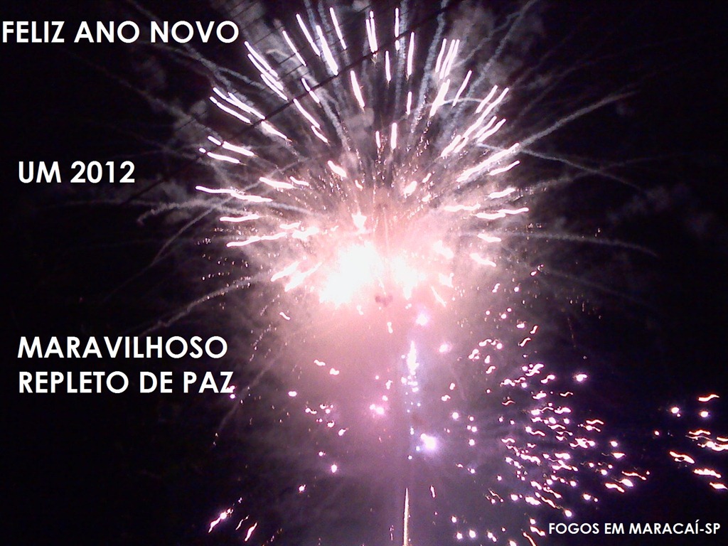 [IMG_20120101_000032%255B4%255D.jpg]